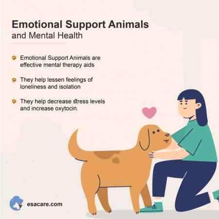 The Importance of Emotional Support Animals for Mental Health